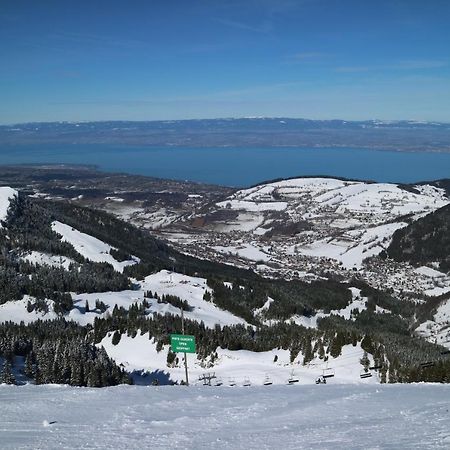 Appartement T2 A Bernex Avec Wifi, Vue Sur Montagne Dış mekan fotoğraf