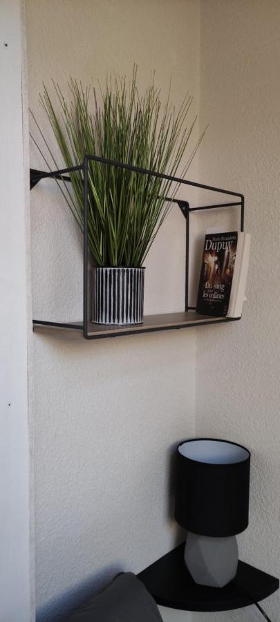 Appartement T2 A Bernex Avec Wifi, Vue Sur Montagne Dış mekan fotoğraf