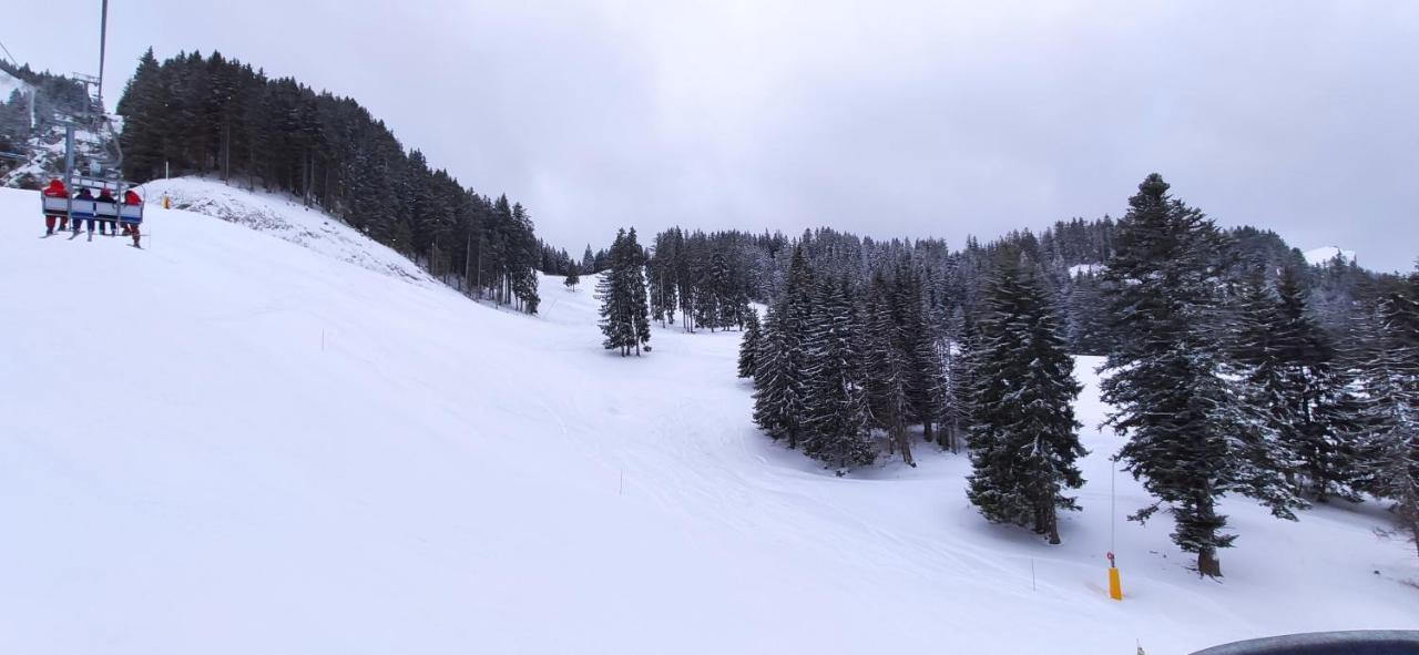 Appartement T2 A Bernex Avec Wifi, Vue Sur Montagne Dış mekan fotoğraf
