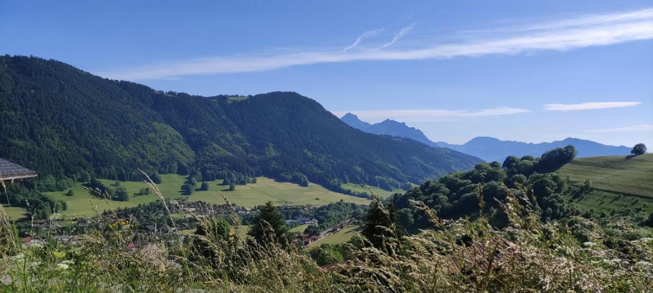 Appartement T2 A Bernex Avec Wifi, Vue Sur Montagne Dış mekan fotoğraf
