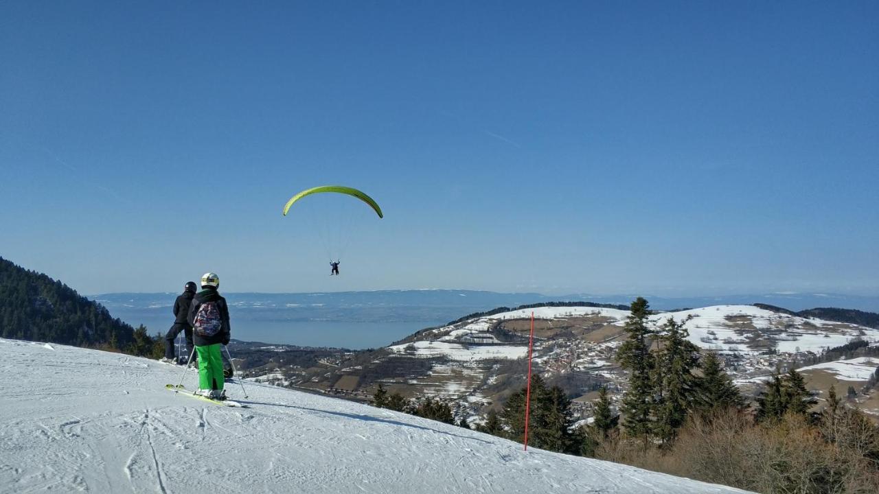 Appartement T2 A Bernex Avec Wifi, Vue Sur Montagne Dış mekan fotoğraf